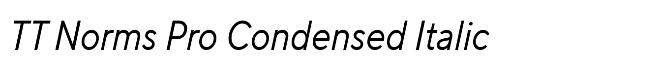 TT Norms Pro Condensed Italic